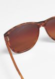 Urban Classics Sunglasses Chirwa UC brown leo