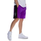 Mitchell &amp; Ness shorts Toronto Raptors purple Swingman Shorts 